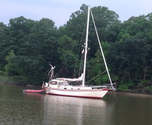 Freebird parked next to us in Wharton Creek. Such a cool boat.