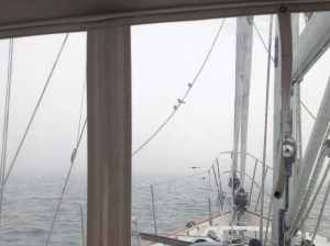 The View . . . again. Fog. "Don't worry 'bout a thing; 'cause every little thing's gonna be alright!" (Bonus points for getting that musical reference!) 