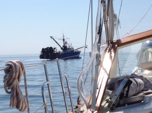We find good company with the commercial fishing vessels on our way to Martha's Vineyard.