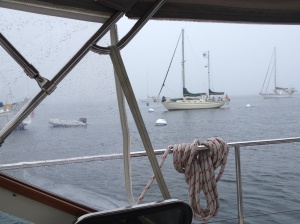 Not leaving the Isle of Shoals today! A raw, rainy day in the harbor.