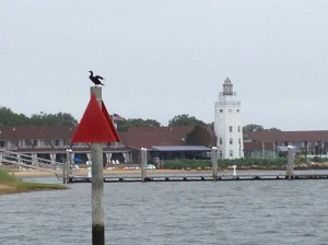 A bird surveys the local yacht club as we pass.