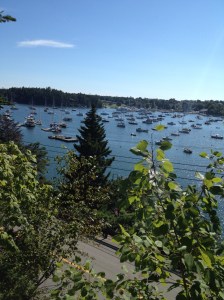 The view from the hillside path to the gardens