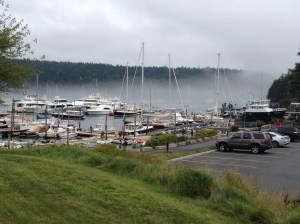 Foggy day in Northeast Harbor