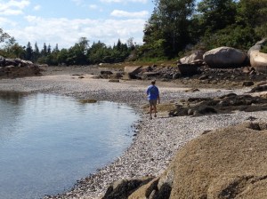 Seal Bay is way up the list as one of our favorite stops.