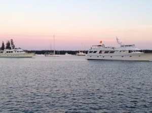 The yacht club joined us in Seal Bay . . . 