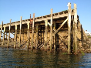 Another example of the dramatic tide swings!