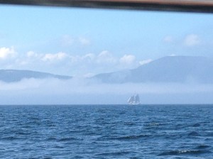 A schooner in the fog. This fog bank moved in and out all day!