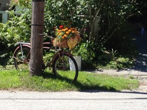 Loved this planter. Beautiful gardens al over town.