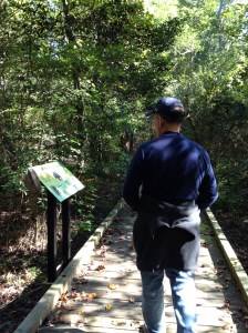 A stroll through the state park. Watch out for bears!