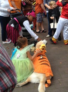 Halloween in Edenton! Even the dogs were in costume!