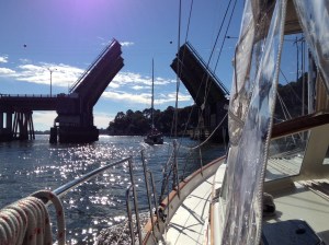 Magnolia leading the charge to Georgia.