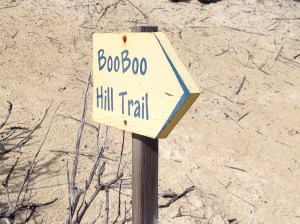 On the trail to Boo Boo Hill