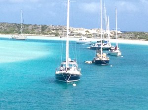 Pretty sure Eleanor Q likes being parked here!