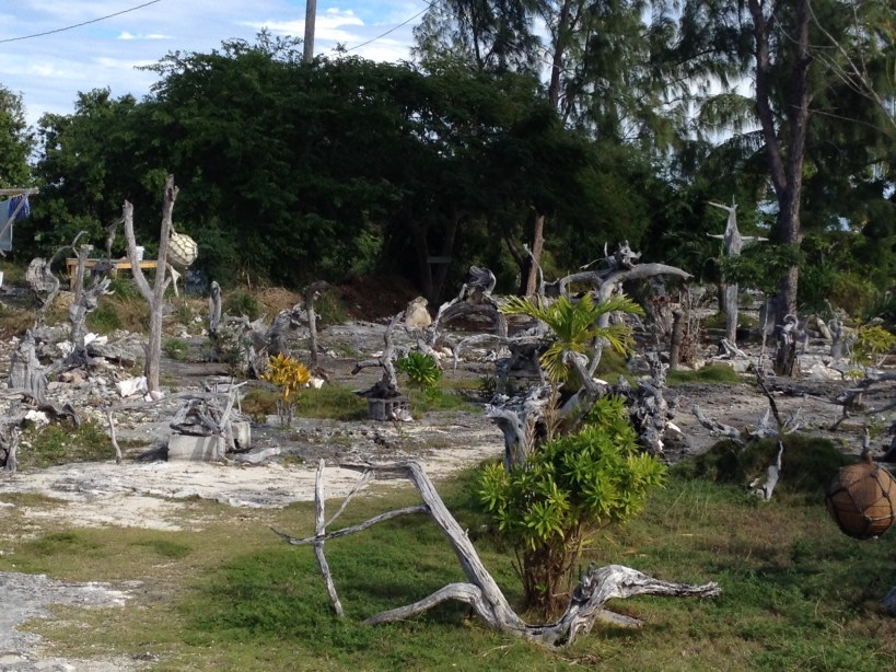Here's an interesting display of driftwood in someone's front yard.
