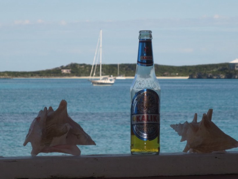 Kind of looks like a Kalik commercial, doesn't it? Anthony posed this picture with Eleanor Q in the background. Very artistic.