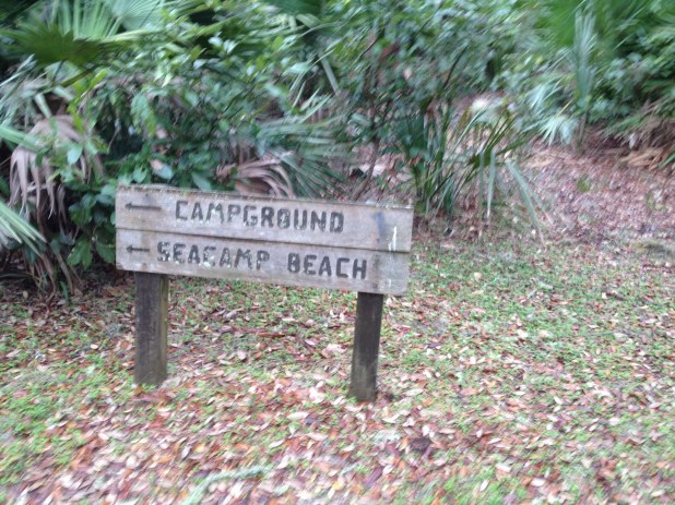 Following the marked paths on Cumberland Island.