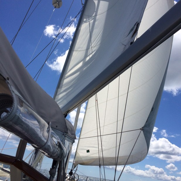 We had a BEAUTIFUL sail to Nantucket - no motor, just wind. Ahhh . . .