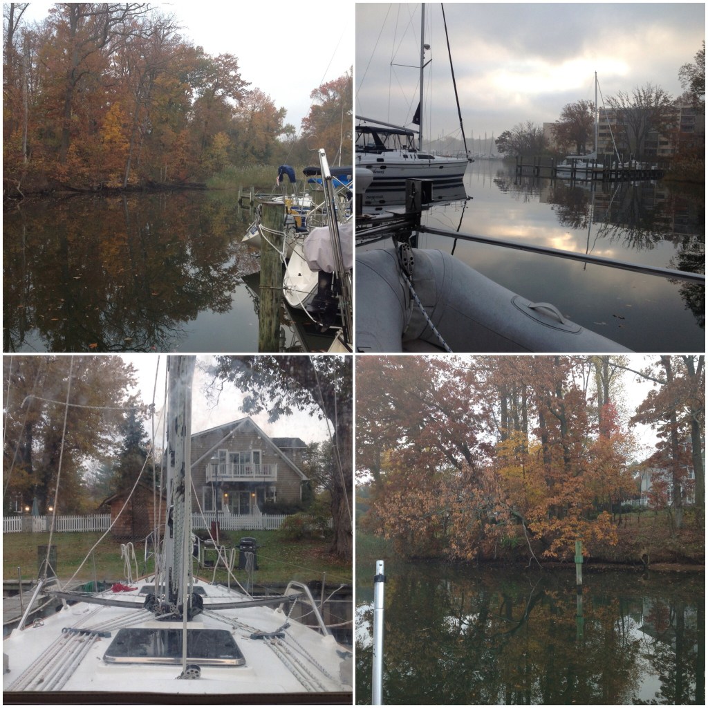 Fall scenes around Back Creek.