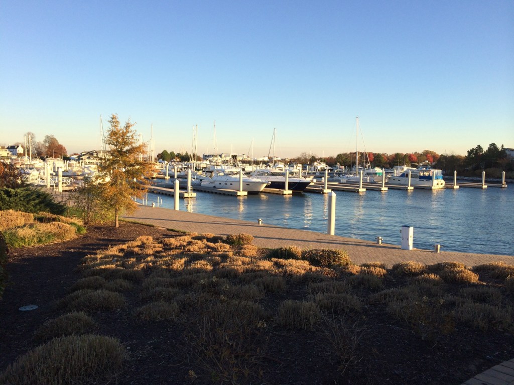 Eleanor Q's winter marina on the opposite side of the Bay Bridge from Annapolis. 