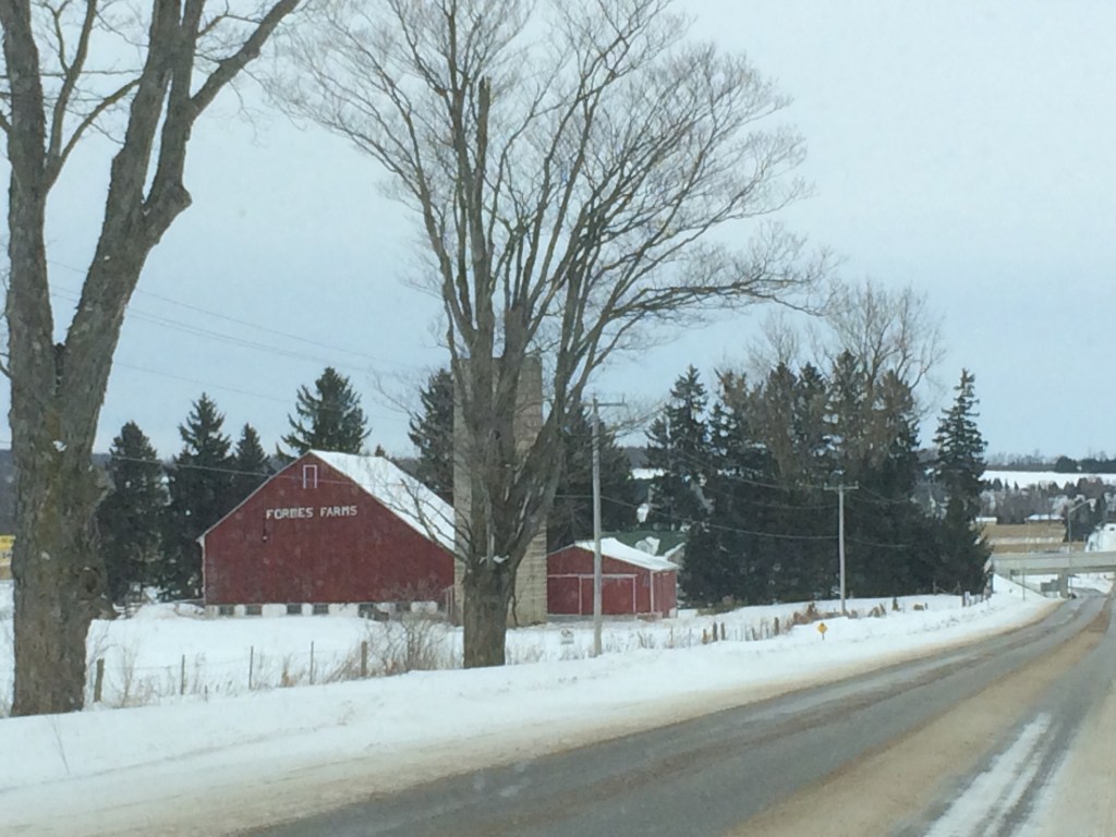 More farmland on the back roads from Barrie.