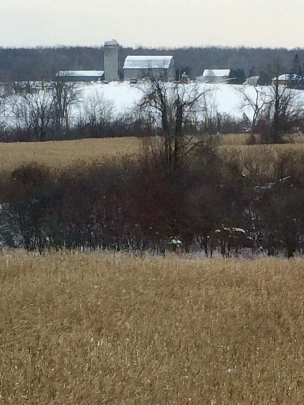 The view out the window in the hallway going to the room. Farmland!