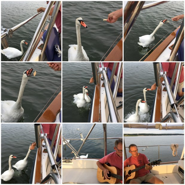 Processed with MOLDIV