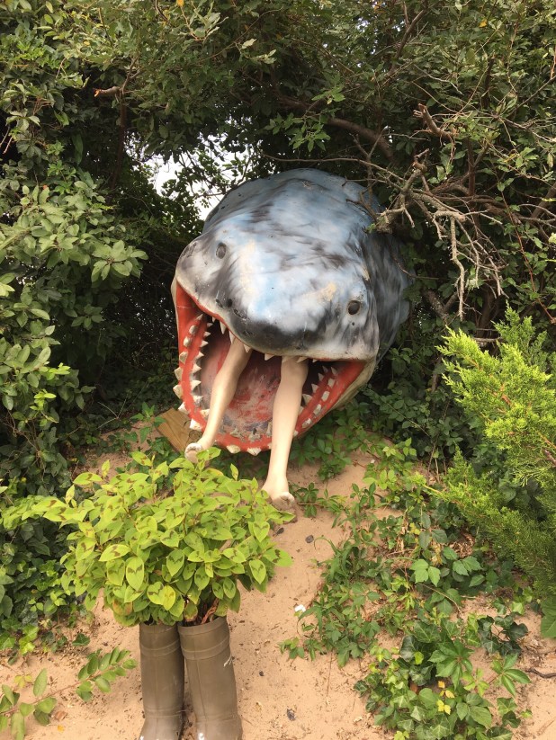 48AD774D-9145-468F-AC70-2D89FCF5564E