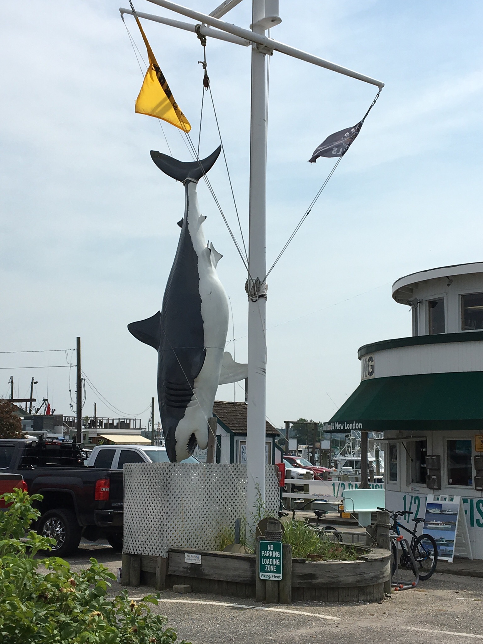 756B1901-F16D-43BD-BA9F-4053B6D10BE9