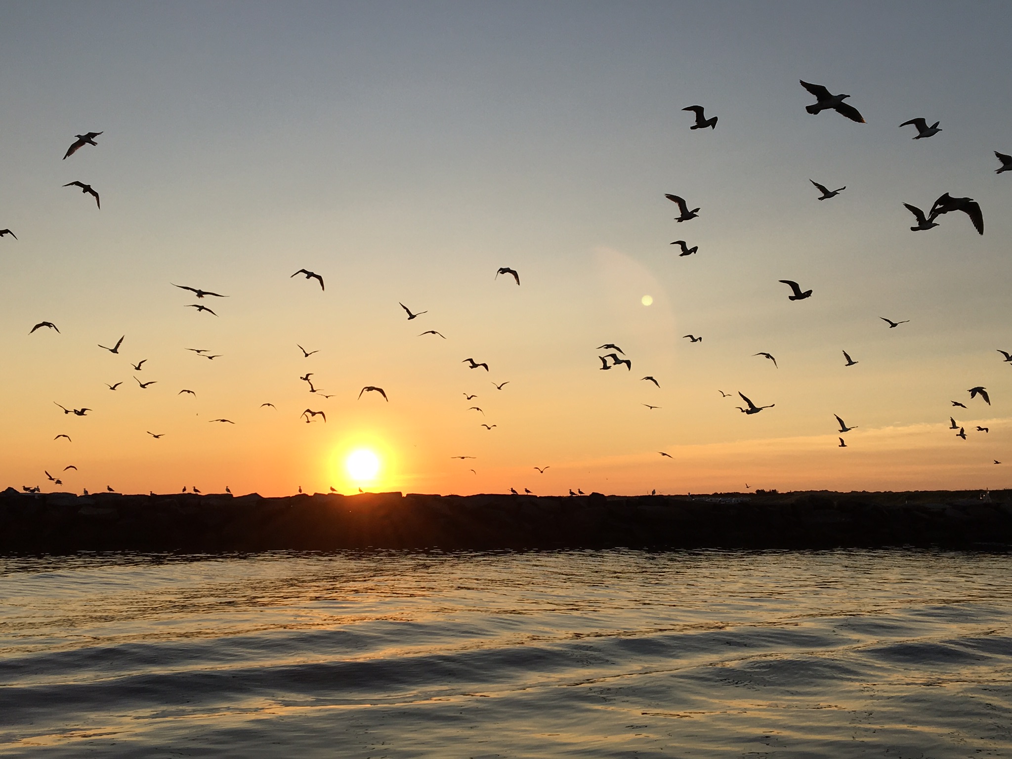 849BCA38-7073-4343-99D1-692B26F09E66