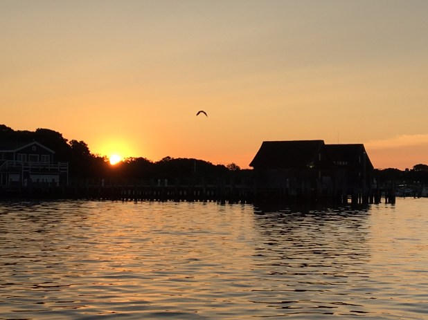 BFC34693-5EC7-458C-B08F-86F14460099A