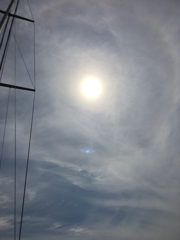 C4798CAA-2324-40B8-B4EF-E0E73D8FCA8E